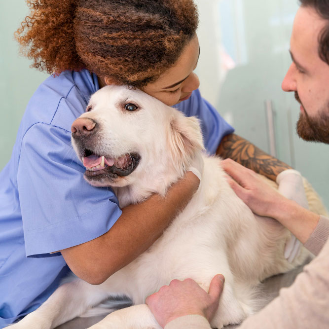close-up-doctor-hugging-smiley-dog
