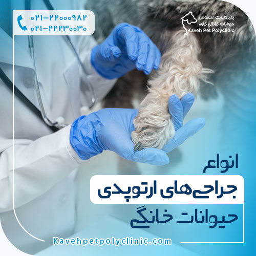 انواع جراحی های ارتوپدی حیوانات خانگی