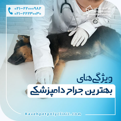 ویژگی های بهترین جراح دامپزشکی