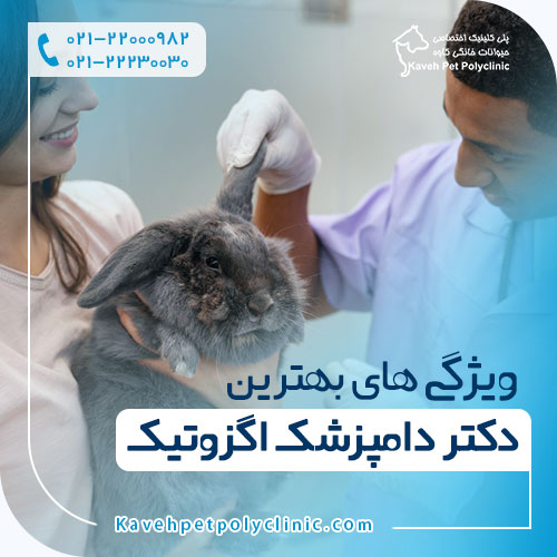 ویژگی های بهترین دکتر دامپزشک اگزوتیک